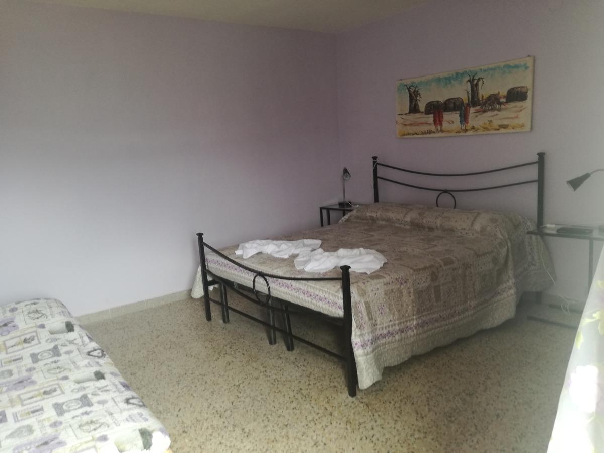 B&B La Rondinella Montecerboli 외부 사진
