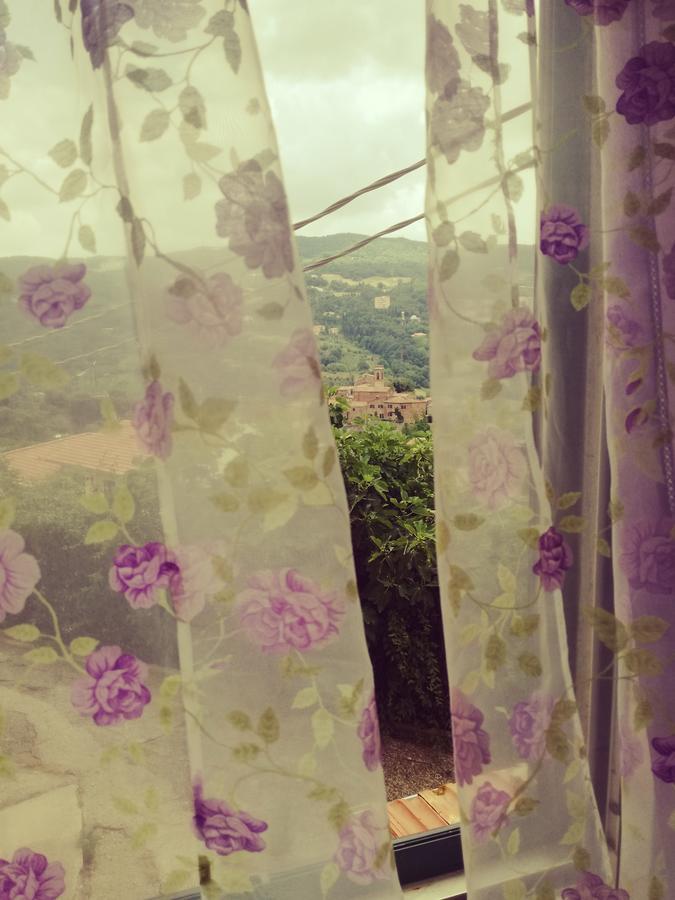 B&B La Rondinella Montecerboli 외부 사진