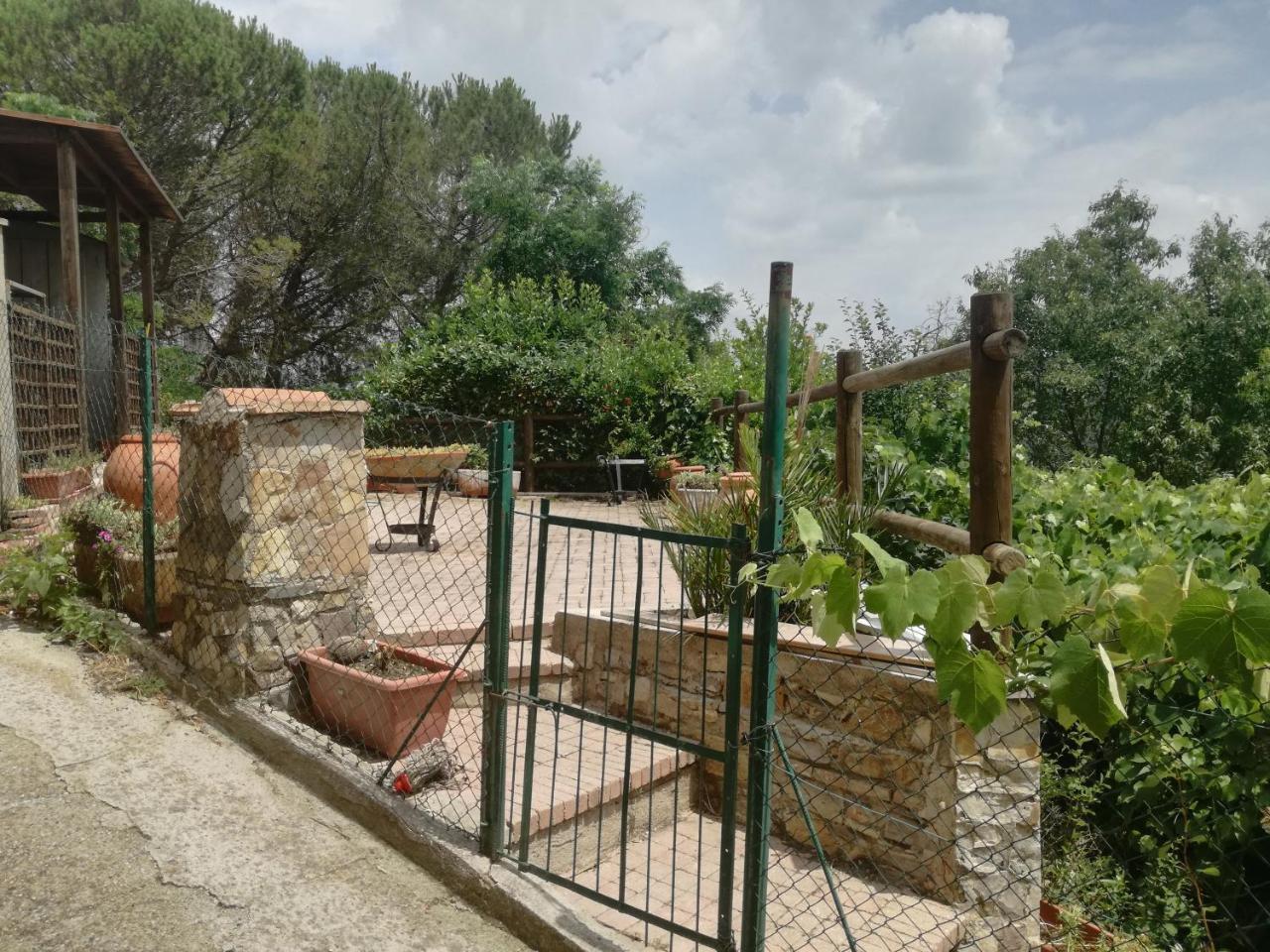 B&B La Rondinella Montecerboli 외부 사진